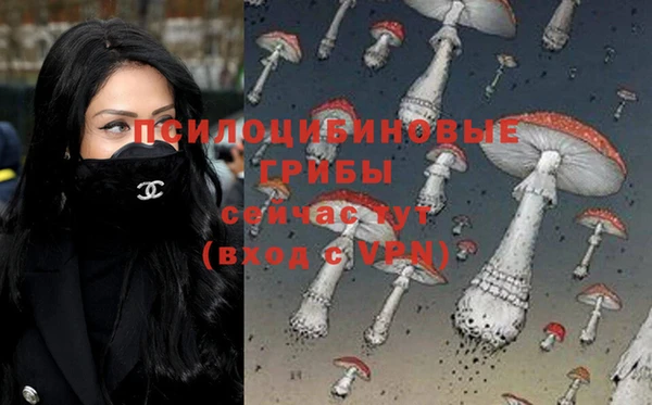 кокс Алексин