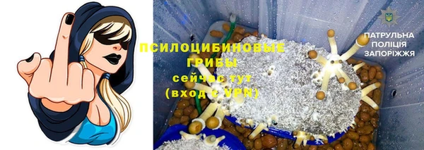 кокс Алексин